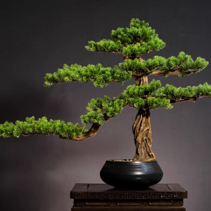 Bonsai Garden Entrance - Startseite begrüßende Kiefernornamente, simulierter Keramik-Bonsai für