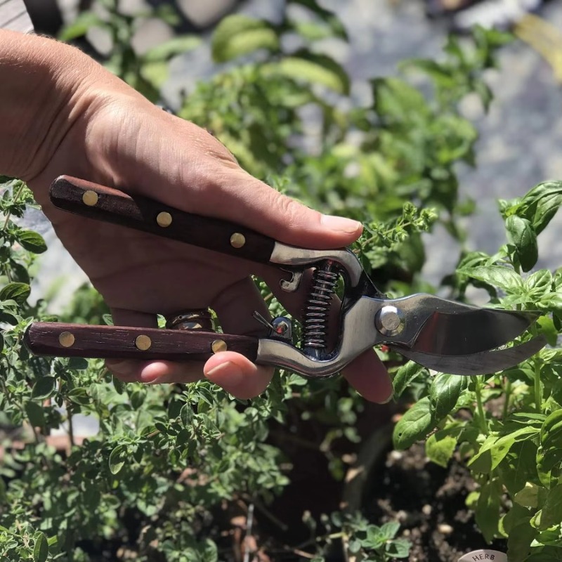 1 Stück Gartenschere mit Holzg – Bonsai Garden Rake Bewertung und Preis