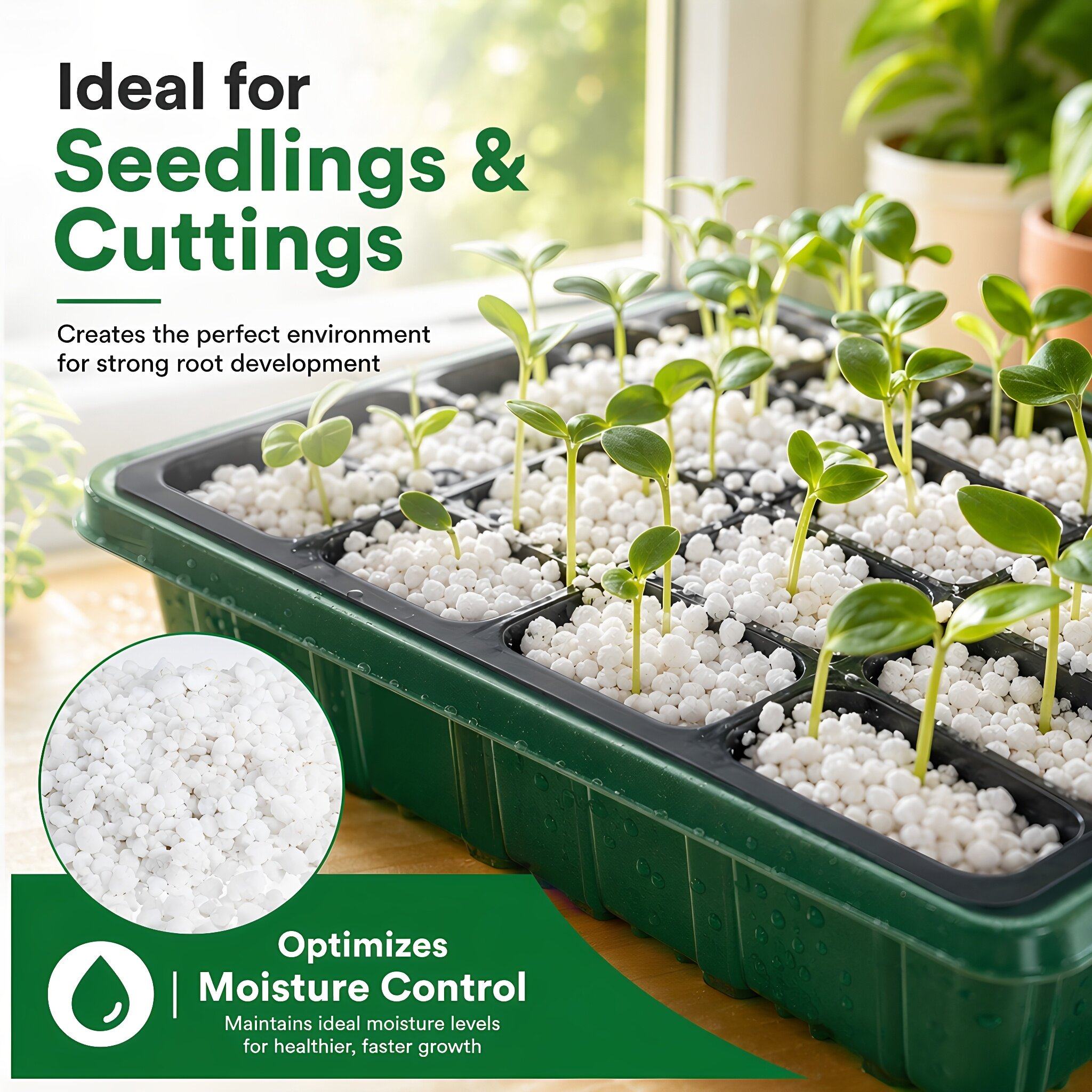5 Quart Garten-Perlit für Bode – Horticulture Soil Perlite Bewertung und Preis