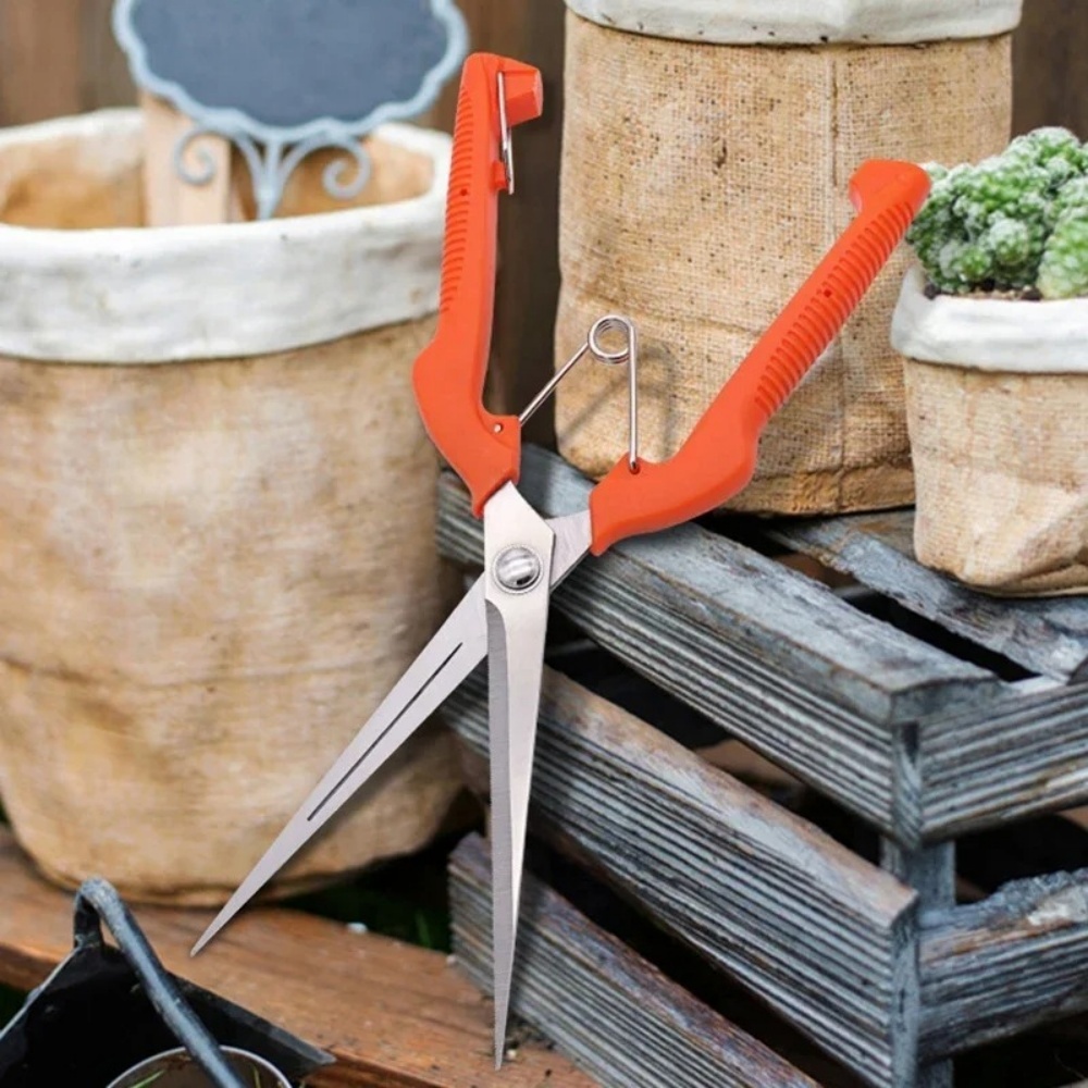 Professionelle Garten Beschnei – Bonsai Garden Rake Bewertung und Preis
