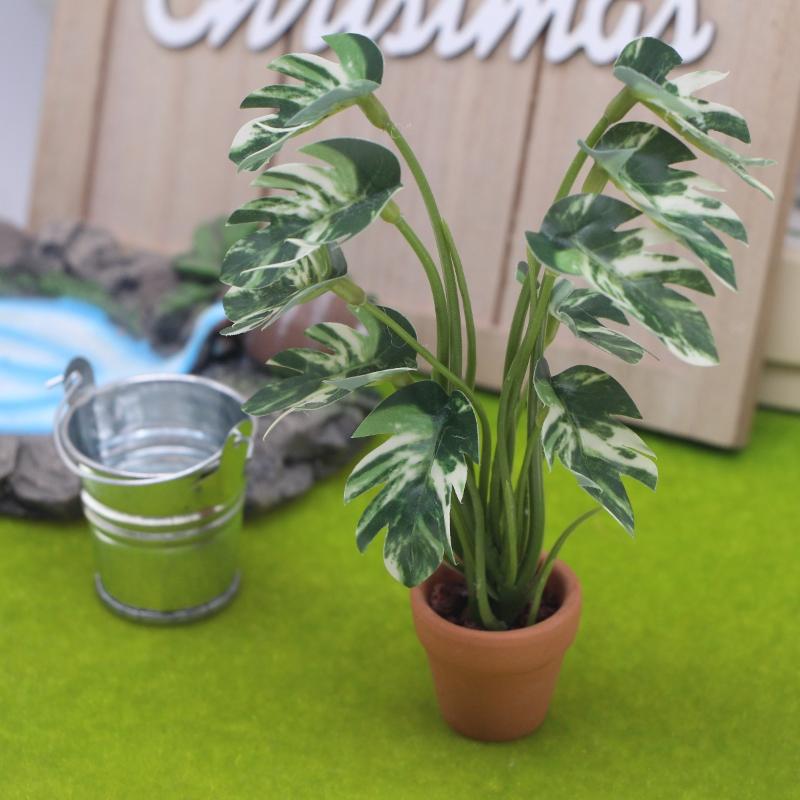 Neuer Verkauf: 1:12 Puppenhaus – Bonsai Garden For Sale Bewertung und Preis