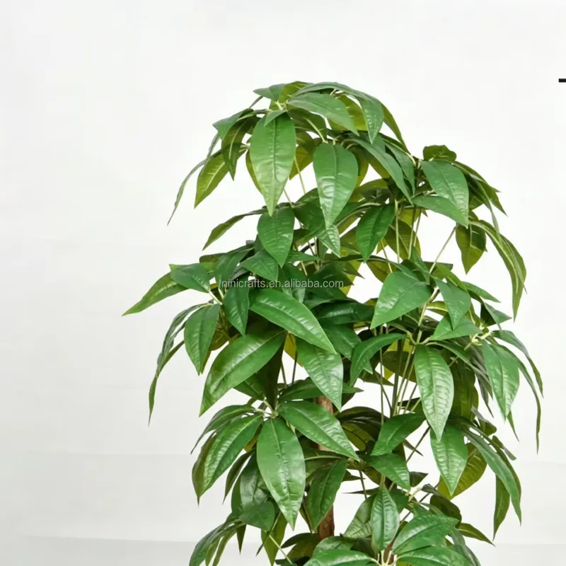 Bestseller Nordischer Stil Inn – Bonsai Garden For Sale Bewertung und Preis