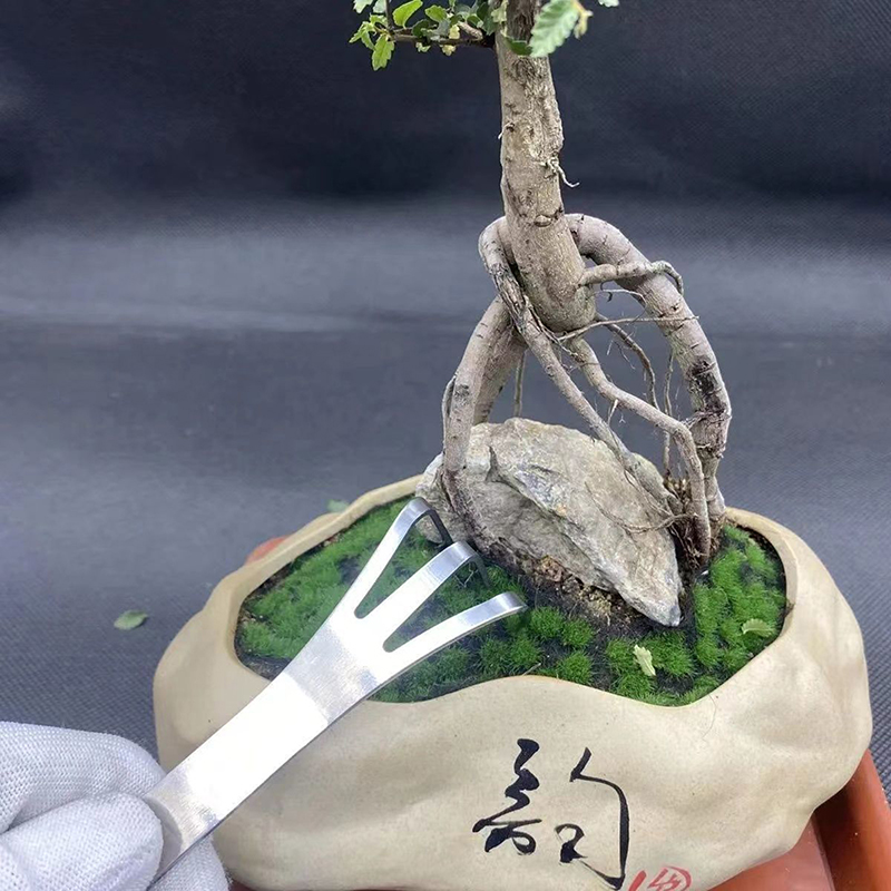 1pc Edelstahl Wurzel schwa der – Bonsai Garden Rake Bewertung und Preis