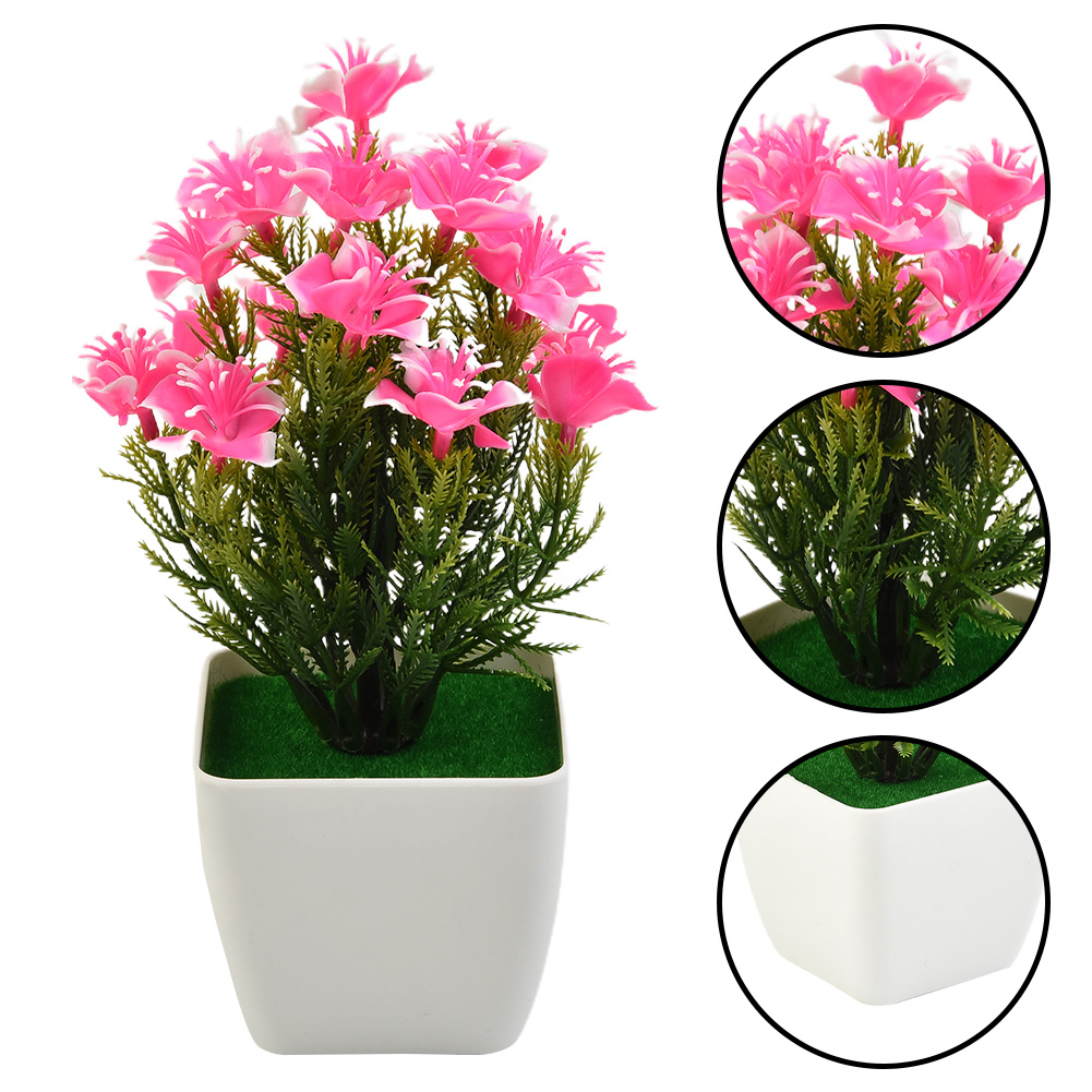 Heißer Verkauf: Neue Accessoir – Bonsai Garden For Sale Bewertung und Preis