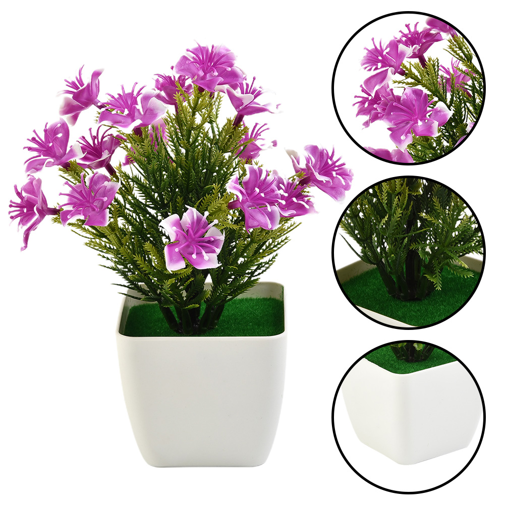 Heißer Verkauf: Neue Accessoir – Bonsai Garden For Sale Bewertung und Preis