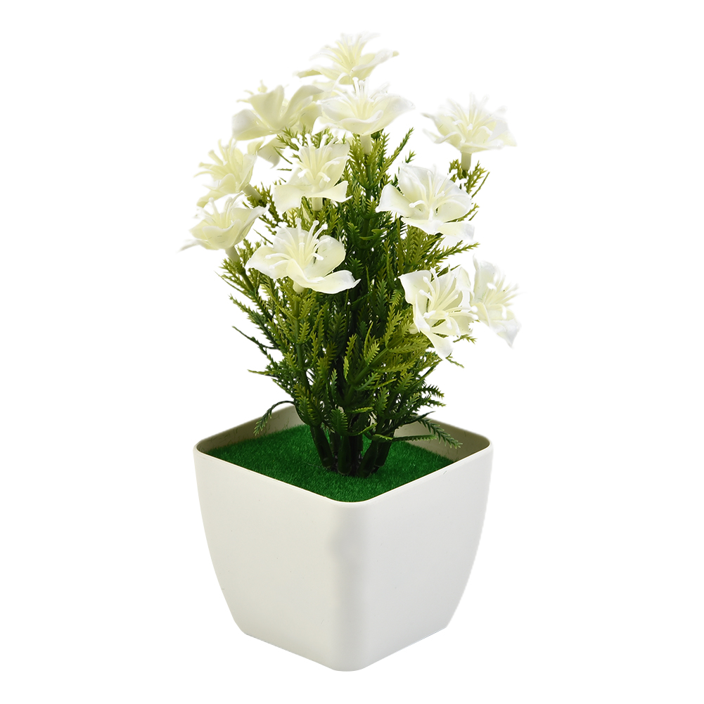 Heißer Verkauf: Neue Accessoir – Bonsai Garden For Sale Bewertung und Preis
