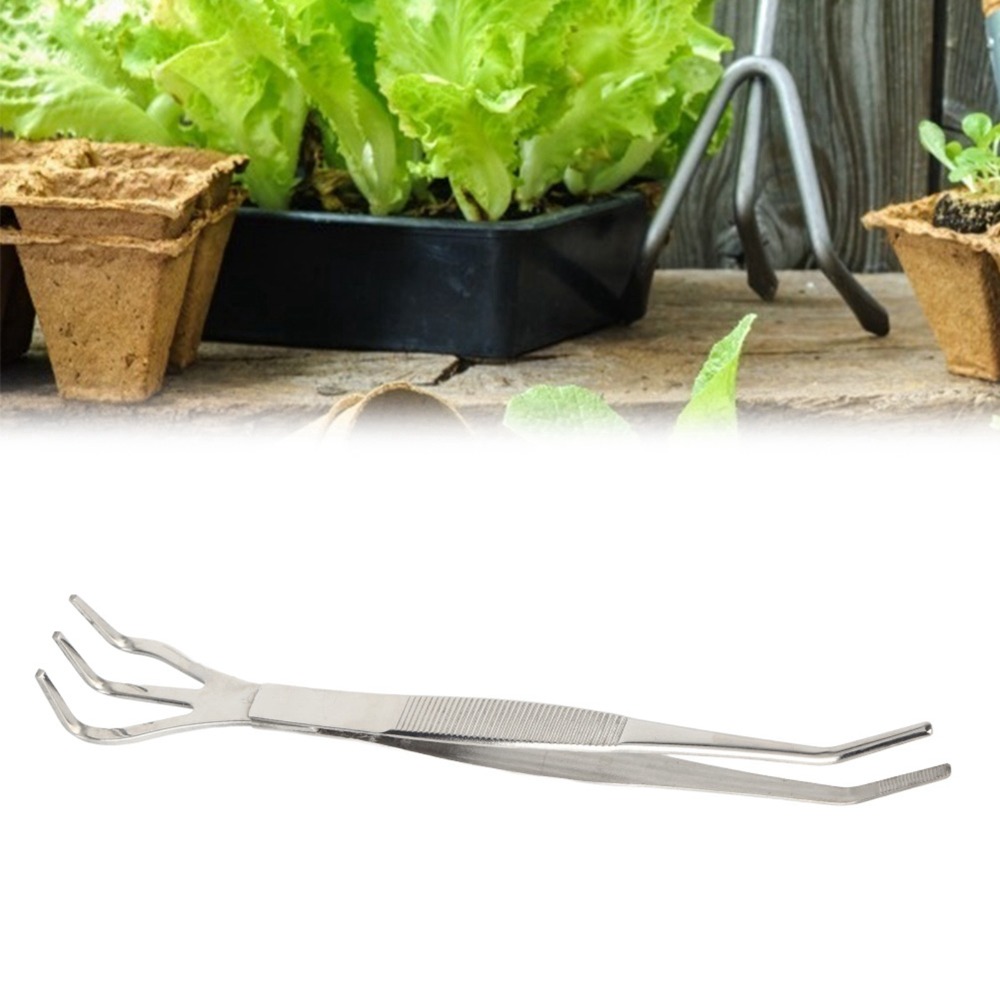 Langlebiger 2-in-1-Bonsai-Rech – Bonsai Garden Rake Bewertung und Preis