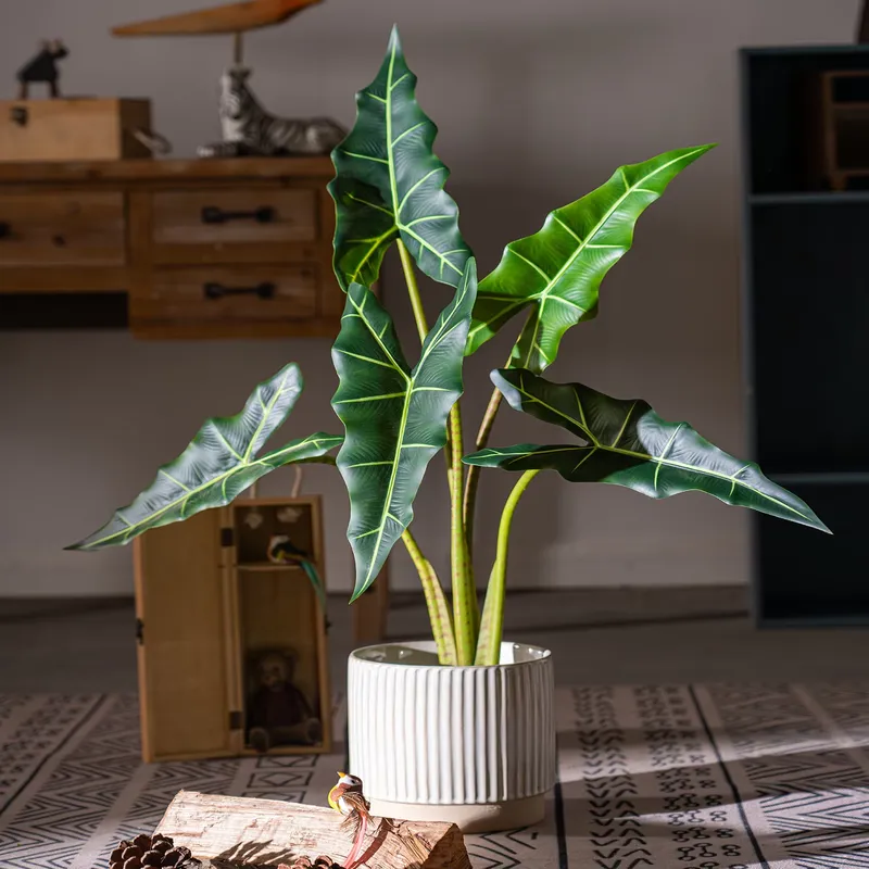 Bestseller Kleiner Bonsai Simu – Bonsai Garden For Sale Bewertung und Preis